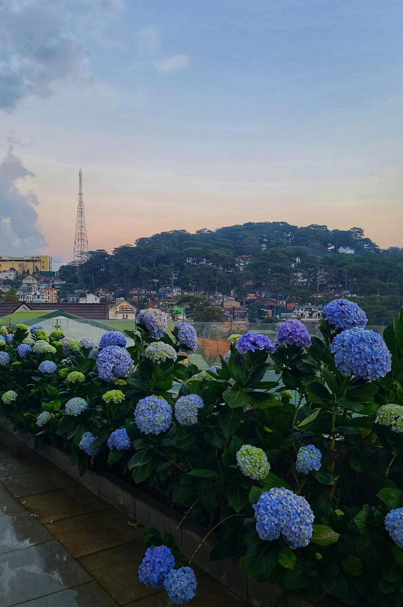 The Luxe Da Lat Ξενοδοχείο Εξωτερικό φωτογραφία